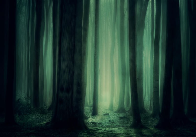 Enchanted Tree